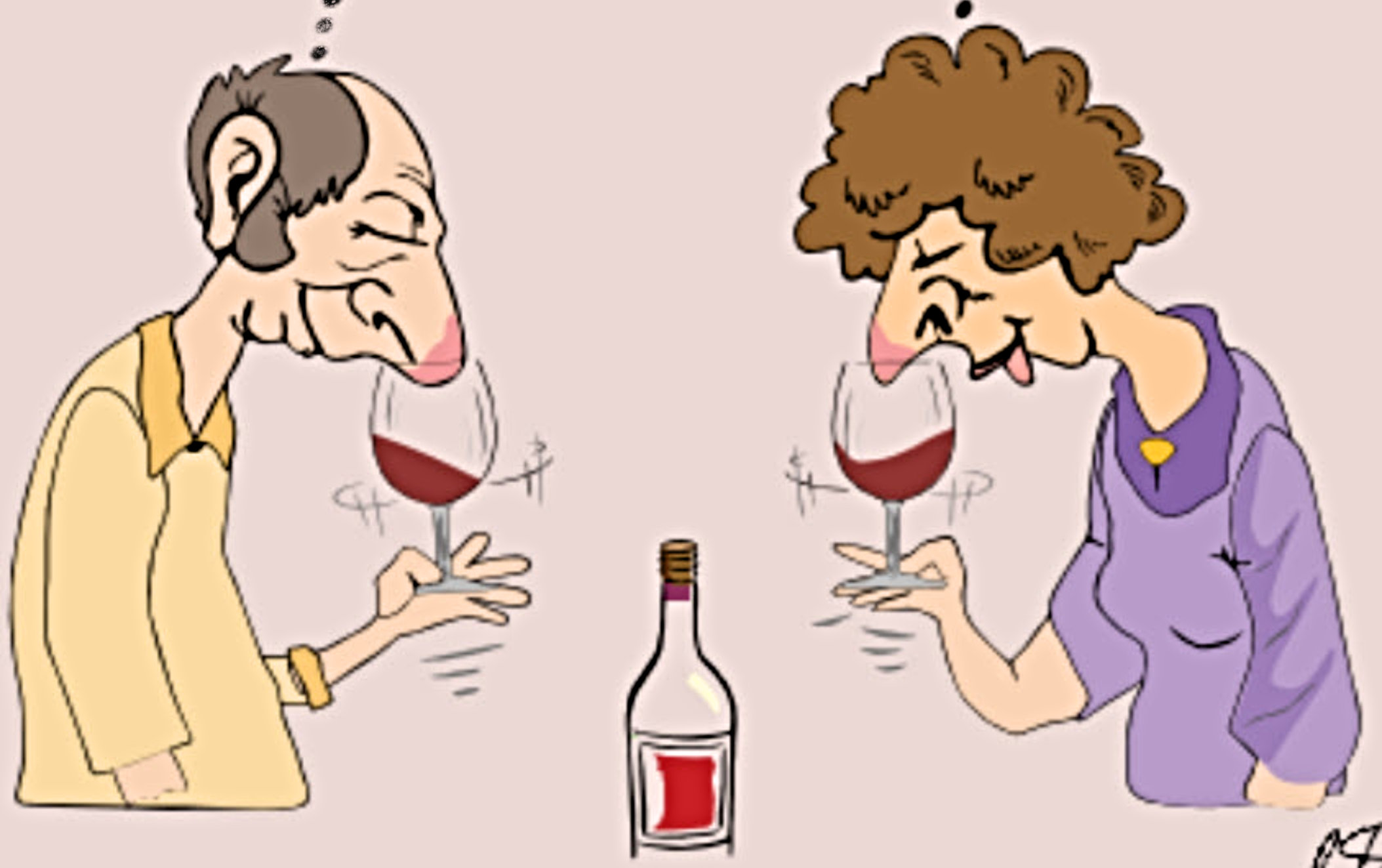 Wine Discovery Group